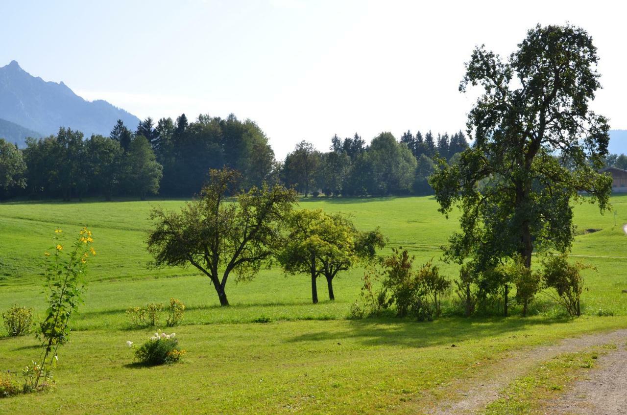 Saint Wolfgang Naturresort Fischergut - Lodge Wolfgangthal מראה חיצוני תמונה