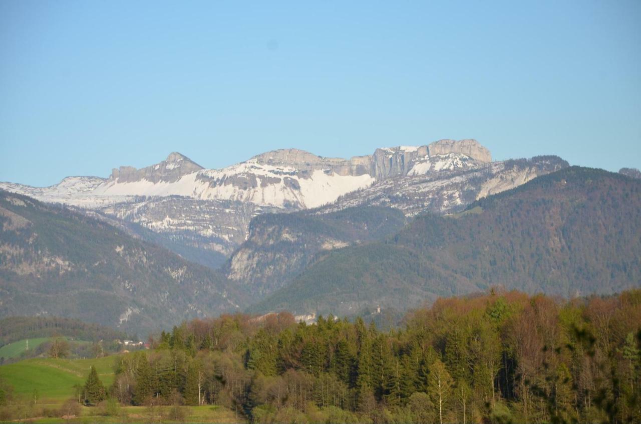 Saint Wolfgang Naturresort Fischergut - Lodge Wolfgangthal מראה חיצוני תמונה